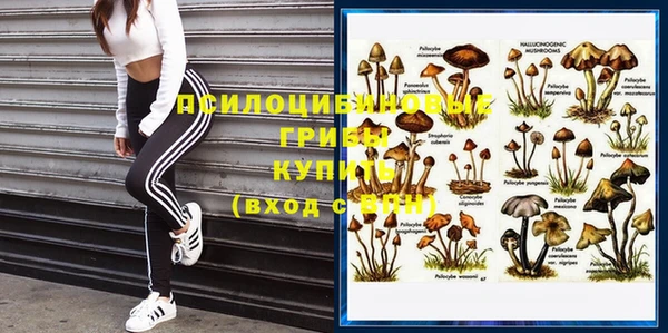 a pvp Гусев
